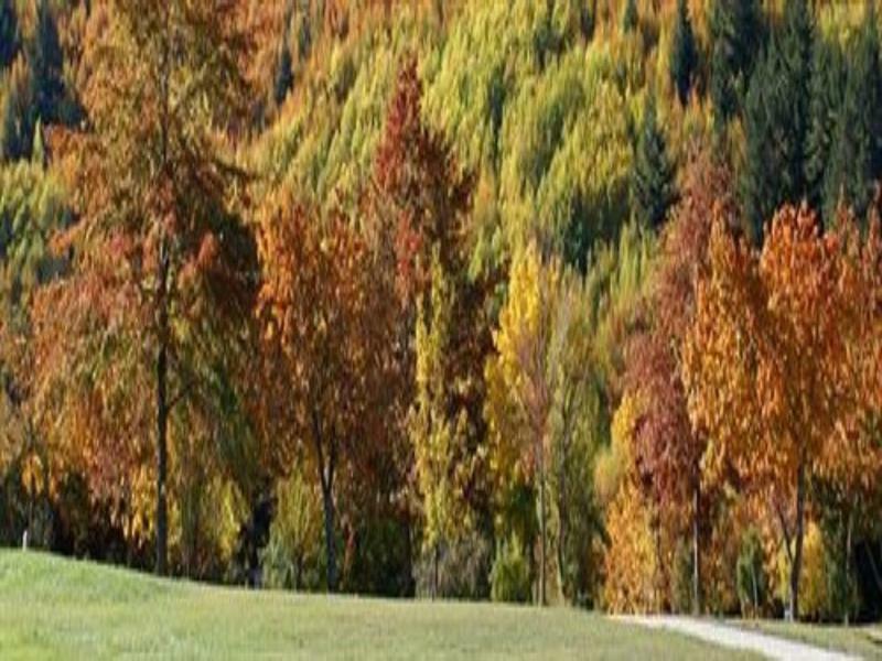 Hampshire Holiday Parks - Arrowtown Kültér fotó